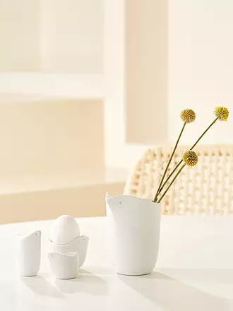 RAEDER | Salz- und Pfefferstreuer 2tlg EARLY BIRD Vogel | 